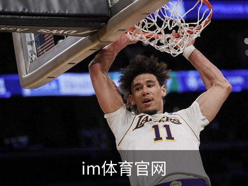 im体育官网简介